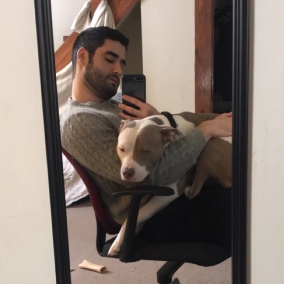 deicazao